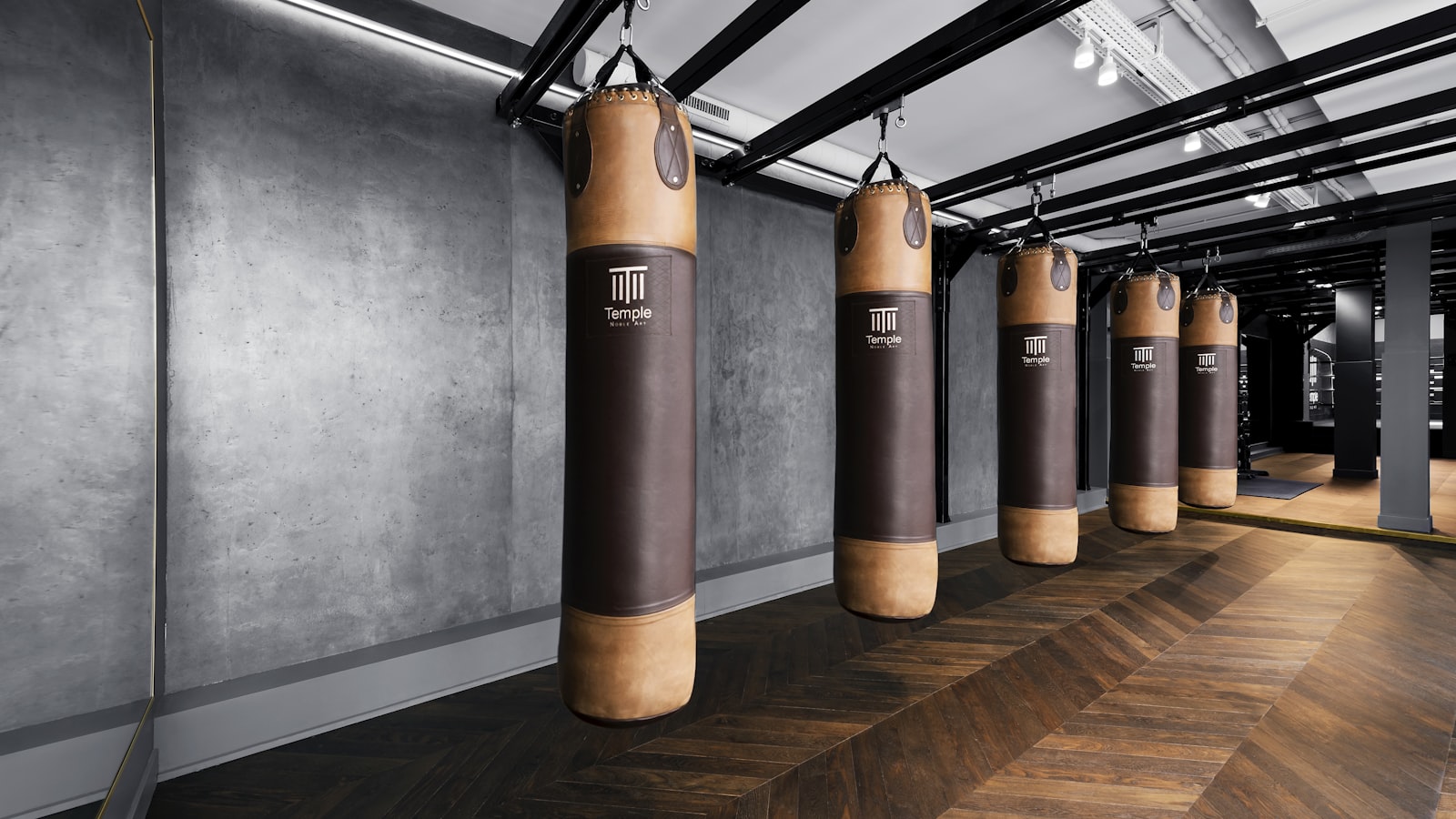 A row of heavy bags hanging in a gym